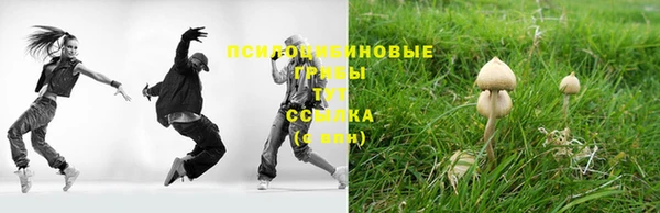 соль ск Балахна