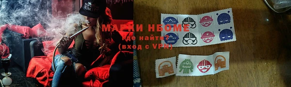 прущие грибы Балабаново