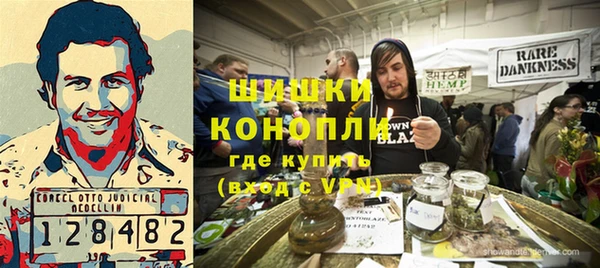 прущие грибы Балабаново