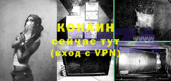 прущие грибы Балабаново