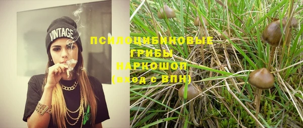 дурь Баксан