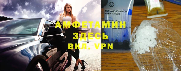 прущие грибы Балабаново